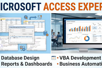 create a professional microsoft access database with forms, reports and vba