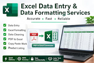 excel data entry and data formatting and data cleaning and copy pest pdf work