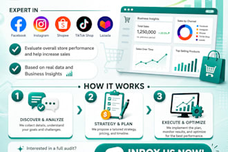 audit your facebook and tiktok ads campaign for better roas