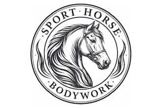 create attractive and imagination horse logo design