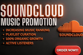 do professional soundcloud music promotion, tracks album promotion