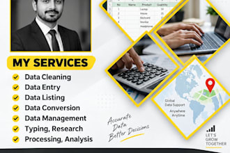 accurate excel data entry and google sheets work