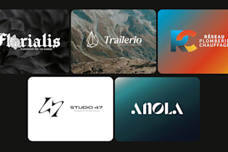 design your pro minimalist logo
