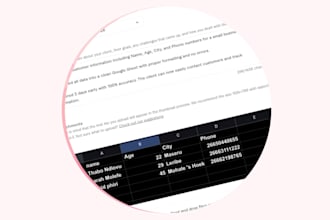 accurately collect and enter your data into google sheets