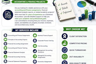 do accounting, finance tasks and financial analysis reports