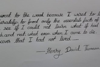 provide beautiful neat and well organized handwriting