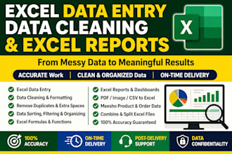 do excel data entry, data cleaning, excel reports and meesho data