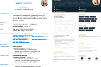 do professional CV, resume design