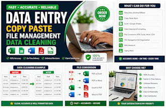 do 1 data entry 2 copy paste 3 file management 4 data cleaning