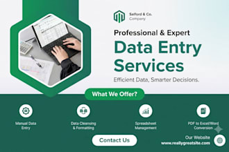 do professional data entry, ms excel work, and web research