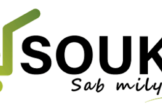 design a unique logo and brand mark for your company