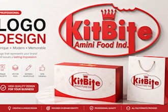 do premium logo design for your brand