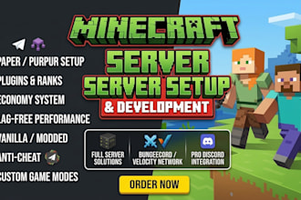 setup a professional minecraft server