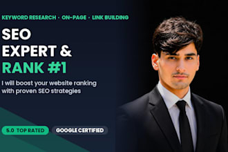 do professional SEO for your website
