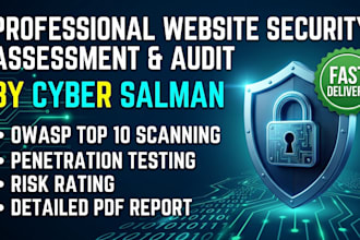 perform a professional website security assessment and audit