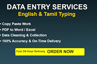 do professional english and tamil data entry and typing work