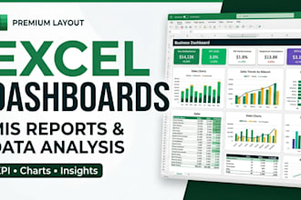 create a professional excel dashboard and mis report