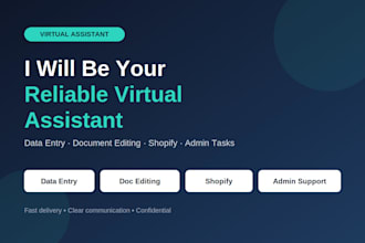 be your virtual assistant for data entry, shopify store tasks and admin
