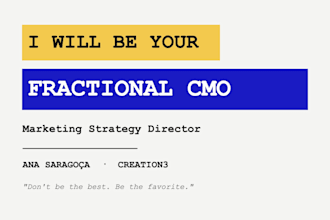 be your fractional cmo and audit your marketing strategy
