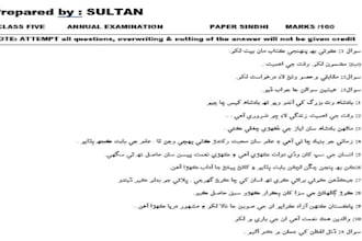 sindhi typing urdu typing, , math typing, data entry, englishtyping