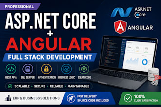 develop asp net core and angular web applications
