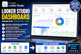 create professional google data studio looker studio dashboard and reports