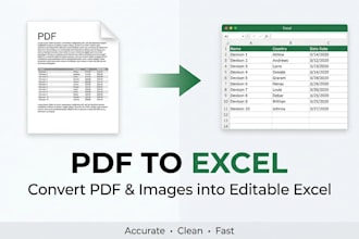 convert PDF to excel