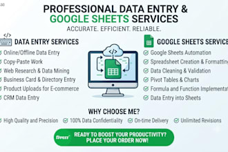 do accurate data entry and google sheets work