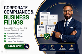 provide professional business filing, tax advisory, and compliance services