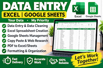 do accurate data entry, web research, and excel tasks