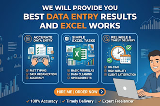 do data entry , exel works