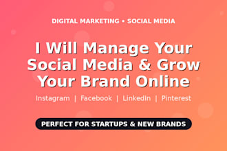grow your startup with social media marketing and meta ads
