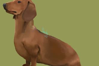 draw an illustration of animal or character