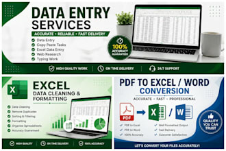 do data entry, excel services and PDF to excel