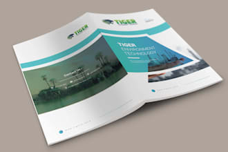 design a professional brochure, product catalog