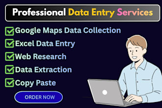 be your VA for google maps data entry, web research and web scraping