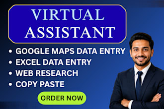 be your virtual assistant for google maps data entry and web research