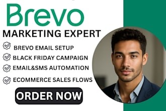 setup brevo black friday email automation ecommerce customer segementation