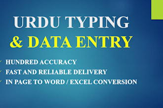do professional urdu typing and english to urdu data entry