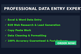 do perfect data entry, web research and copy paste work