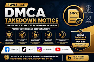 fie dmca takedown notice to facebook instagram tiktok youtube