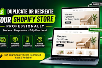 duplicate or recreate your shopify store professionally