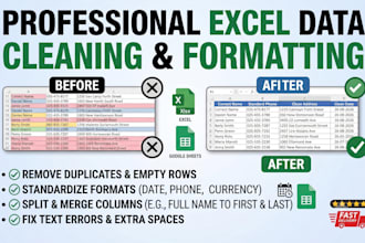 clean, format, and organize messy excel data