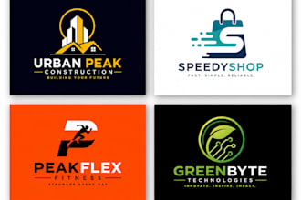 do a professional business logo design