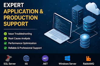 provide business application operational support