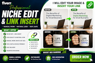do niche edits and manual link insertion on websites