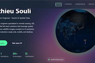 build a professional portfolio website