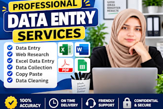 provide fast data entry, and excel data entry, services