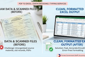 be your accurate typist for data entry, excel encoding, copy paste task