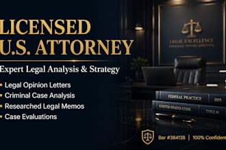 draft legal opinion letter and expert case assesment legal letter professionally